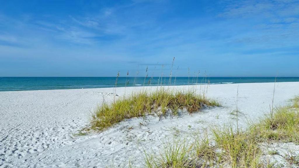 Beach Palms- Unit 102 Clearwater Beach Exterior photo